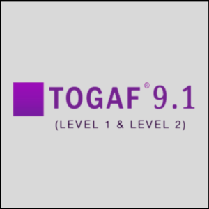 TOGAF 9.1(Level 1 and Level 2)